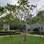 Bohemian Home 3 Bedroom -10 Mins To Mid Valley